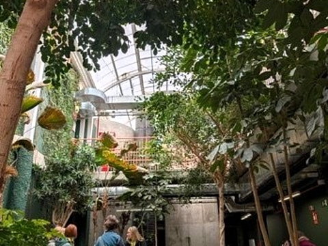 Innenhof mit vielen Pflanzen, Bäumen und Sitzgelegenheiten unter einem Glasdach, mehrere Personen sitzen zusammen.