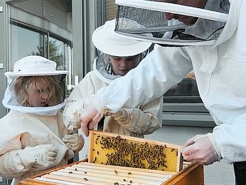 Zwei Kinder und Imker stehen mit Bienen am Bienenkasten
