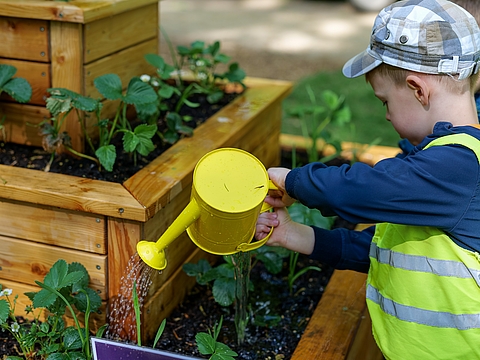 Ein Junge gießt Pflanzen mit einer Gießkanne