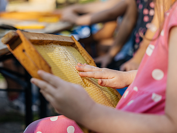 Ein Kind hält einen Rahmen aus einem Bienenstock und betrachtet die Waben. Im Hintergrund sind weitere Kinder zu sehen.