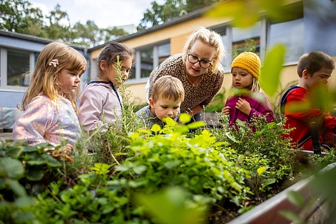Mit allen Sinnen die Natur entdecken – das gehört im Fröbel-Kindergarten und Hort Sternchen in Potsdam zum Alltag. Jetzt Kitaplatz sichern!