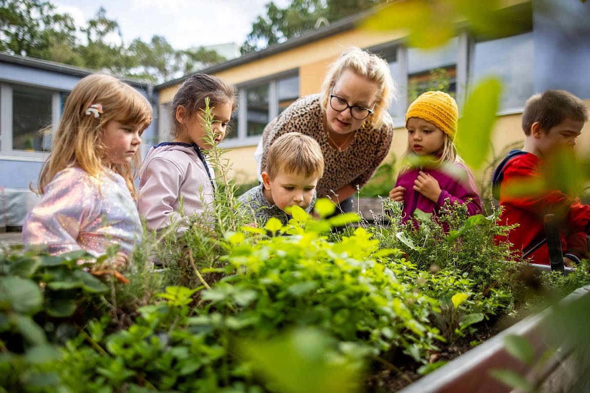 Mit allen Sinnen die Natur entdecken – das gehört im Fröbel-Kindergarten und Hort Sternchen in Potsdam zum Alltag. Jetzt Kitaplatz sichern!