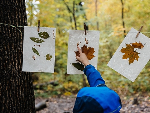 FRÖBEL-Kindergarten Waldkindergarten, Leipzig