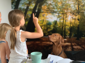 Kindergarten-Hund Dexter mit Kindern im Kindergarten. Ein Mädchen gibt dem Hund mit Handzeichen ein Kommando