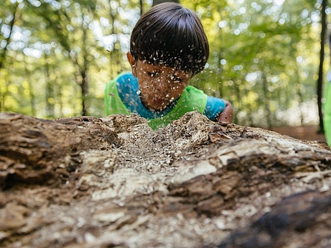 FRÖBEL-Kindergarten Highdechsen, Berlin-Neukölln