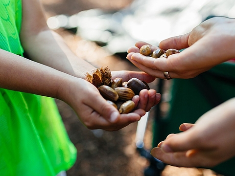 FRÖBEL-Kindergarten Highdechsen, Berlin-Neukölln