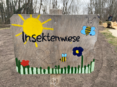 Insektenwiese am Nuthepark