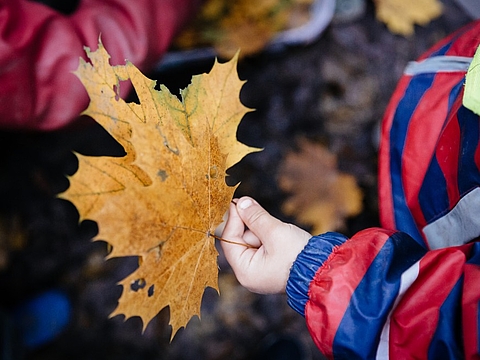 FRÖBEL-Kindergarten Waldkindergarten, Leipzig